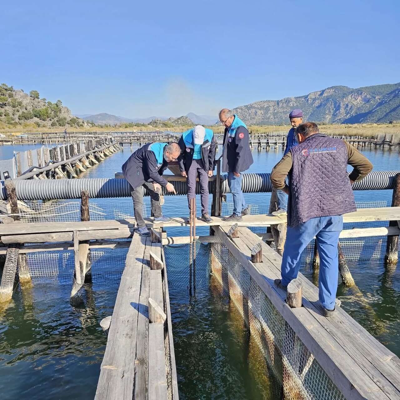 Köyceğiz ve Dalyan İztuzu’nda Su Ürünleri Denetimi: Kaçak Ağlara El Konuldu 1
